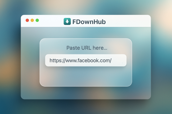 Paste the copied Facebook link into FDownHub